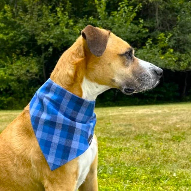 RUFFLECT Dog Bandanas - Vente Bandana – chien - Bandana pour chien RUFFLECT® en flanelle à carreaux Glacier