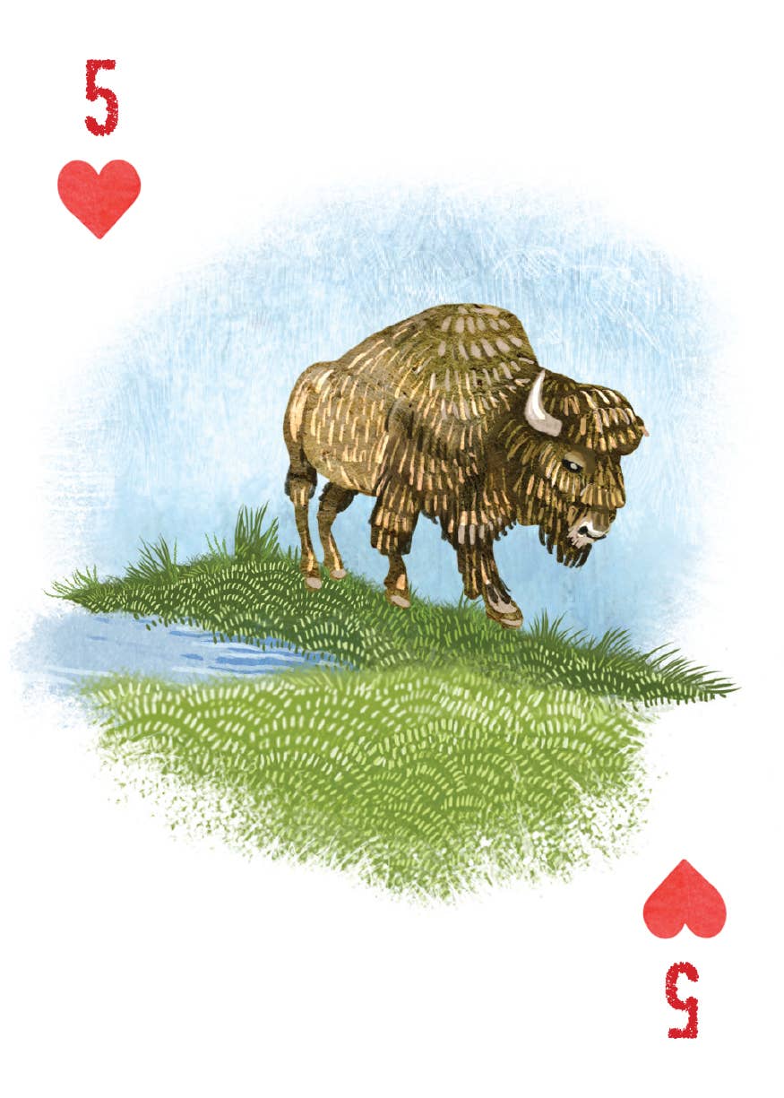 Mountaineers Books - Wholesale Playing Cards - A Woman's Place Is in the Wild7