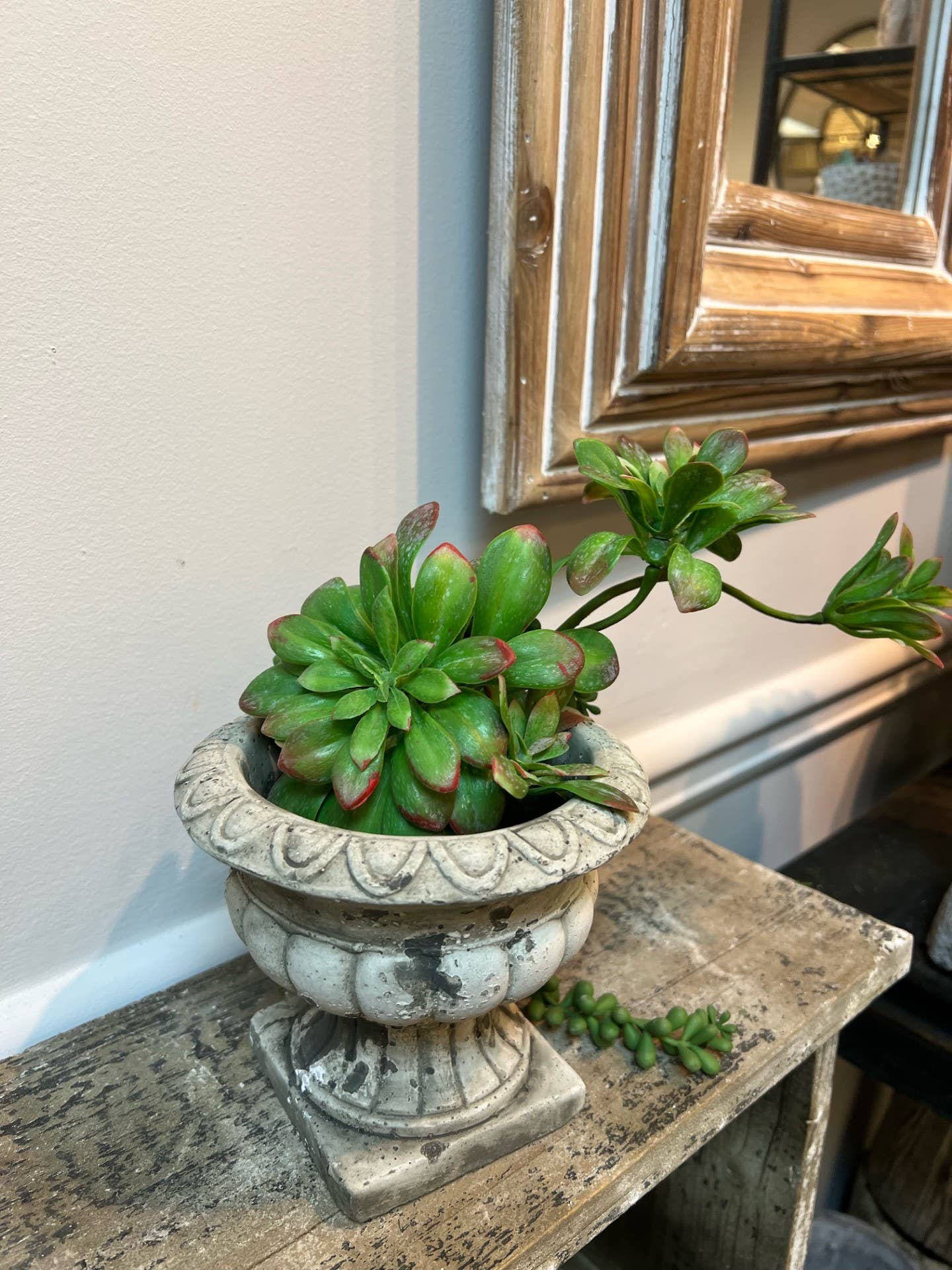 Vagabond Vintage - Wholesale Plant Pot - Cement Planter Urn2