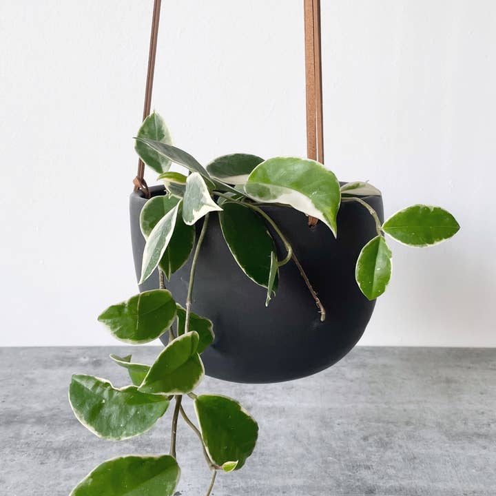 Little Fire Ceramics - Wholesale Hanging Planter - 5" Hanging Planter