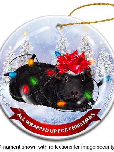 Marsvin Crested Sort & Hvid Alle Indpakket Ornamen... for engroshandel hos Pet Gifts USA, LLC