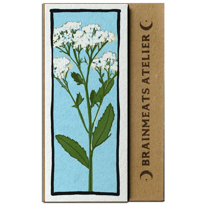 Yarrow Blossoms Illustrated Paper Bookmark for wholesale by Brainmeats Atelier