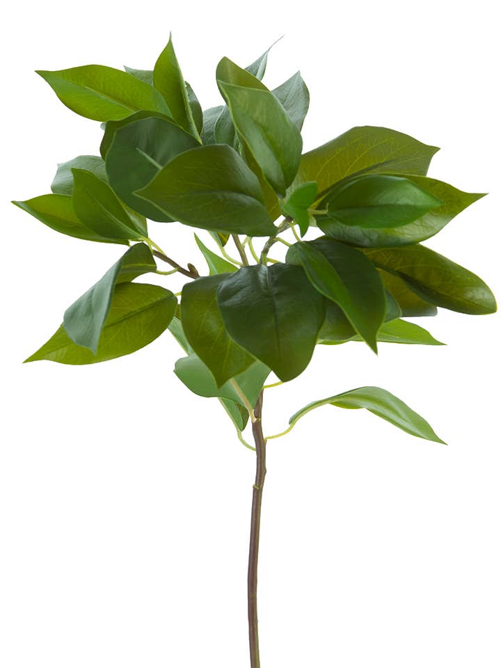 American Best - Wholesale Artificial Flowers - 24" LAUREL LEAVES SPRAY0