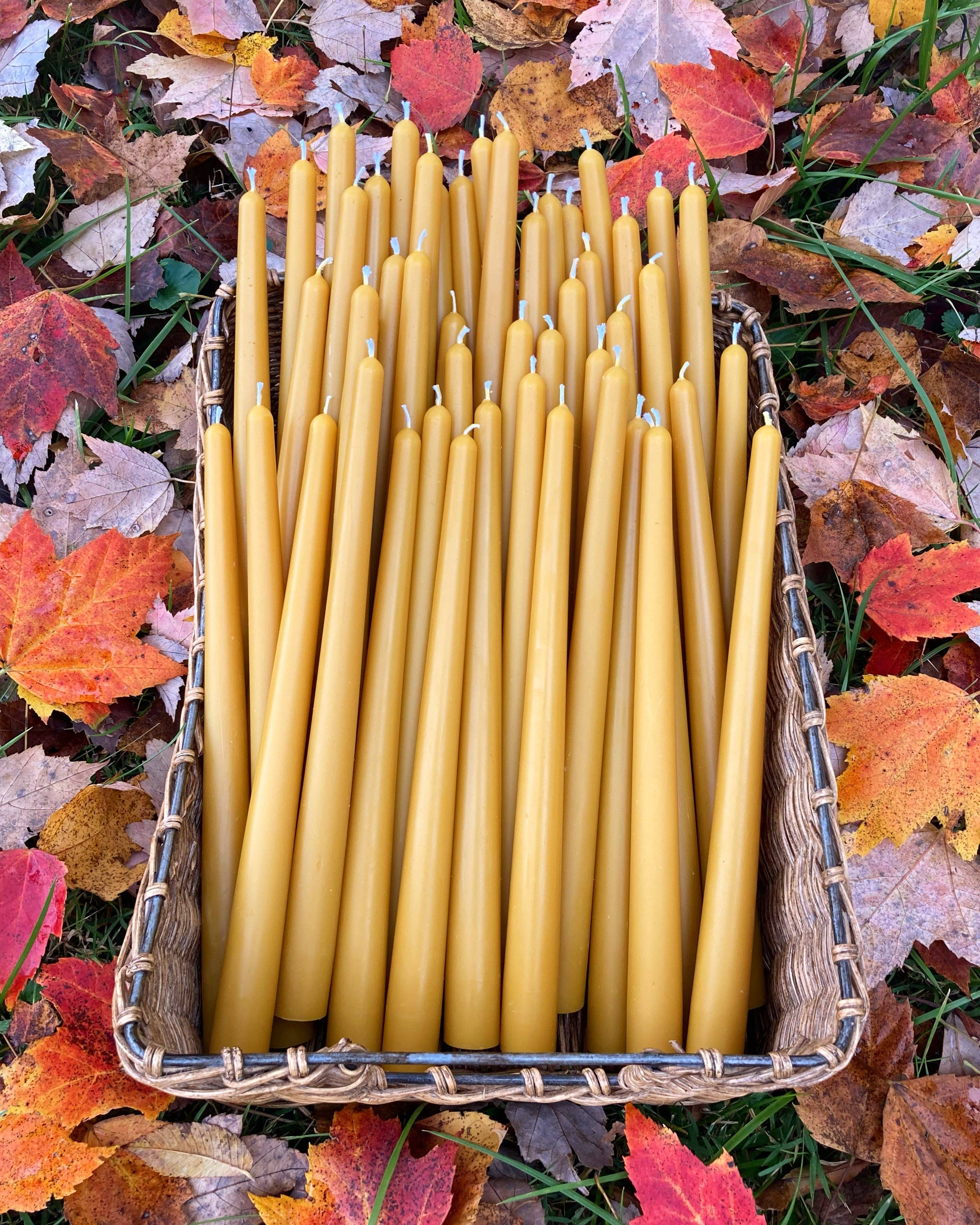 King Cobra Apiary Honey - Wholesale Tapered Candle/Candlestick - Beeswax Taper Candle - 10 Inch