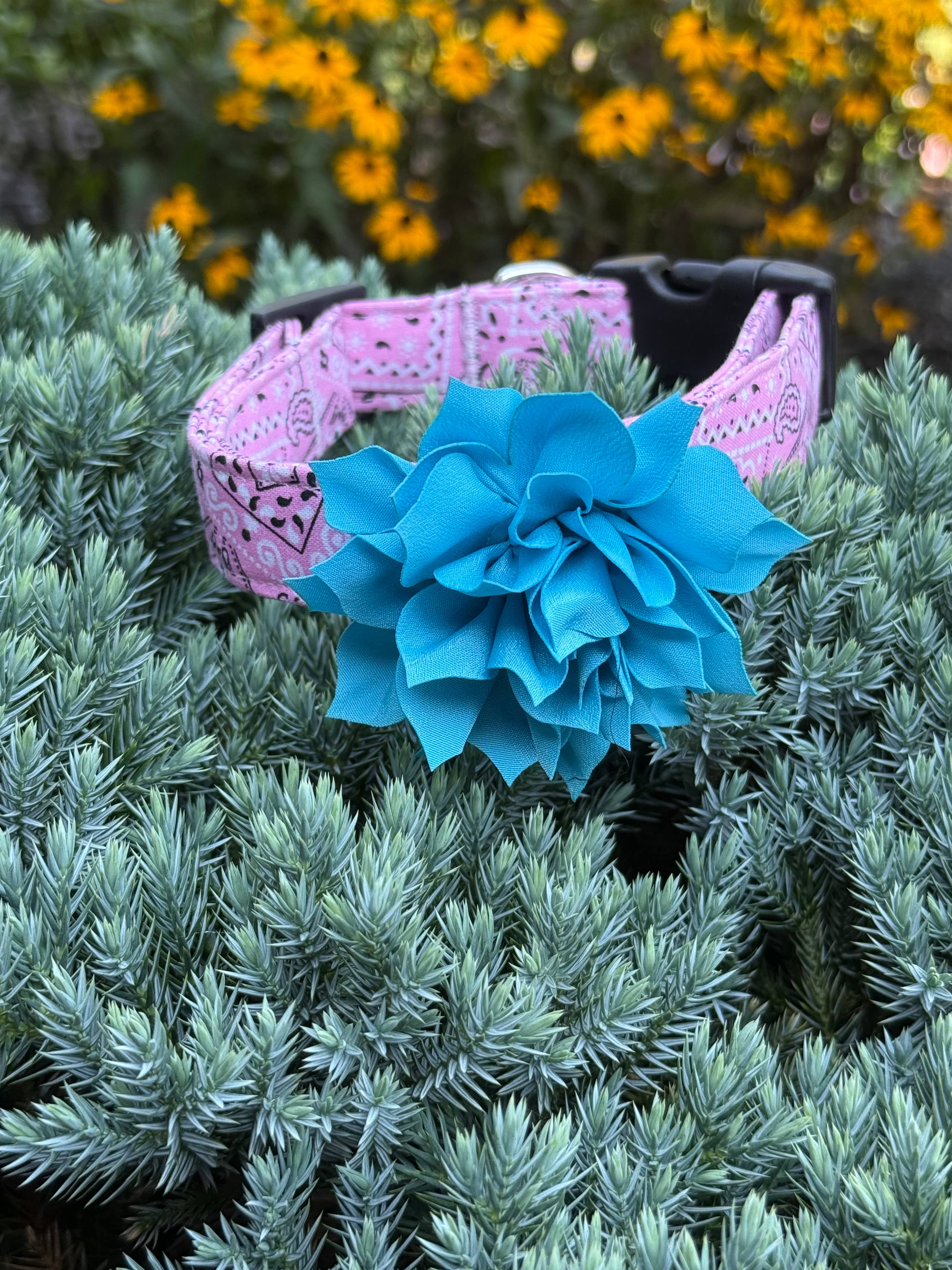 Dog Collar World - Vendita all'ingrosso Collare - Cani - Fiore soffice blu turchese2