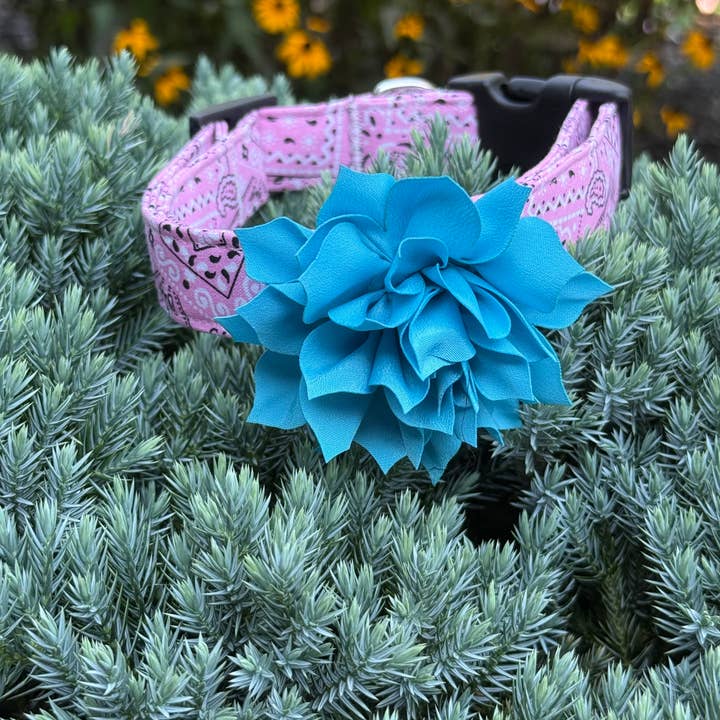 Dog Collar World - Vendita all'ingrosso Collare - Cani - Fiore soffice blu turchese2