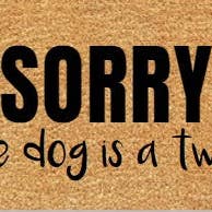 Walk All Over Me Doormats - Wholesale Door Mat - Sorry The Dog Is A Twat - Funky