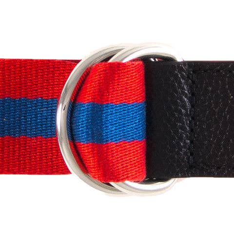 The Bruce for wholesale by DIBI