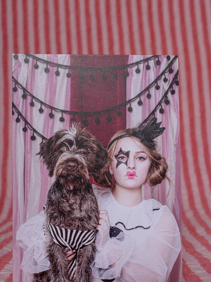 Biglietto di auguri di compleanno Fotografia magica di cani da circo per la vendita all'ingrosso da parte di The Velvet Big Top