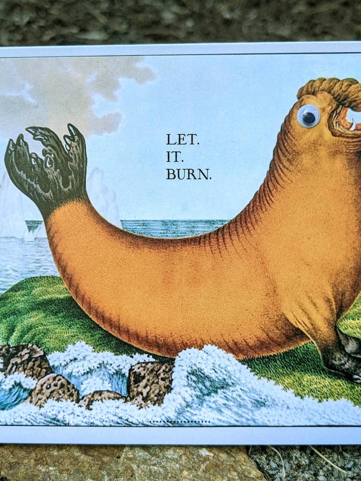Let It Burn Greeting Card with Googly Eyes for wholesale by Shut Up Telescope