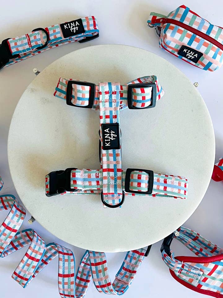 H-harness - Happy Colors for wholesale by Kina Dogs