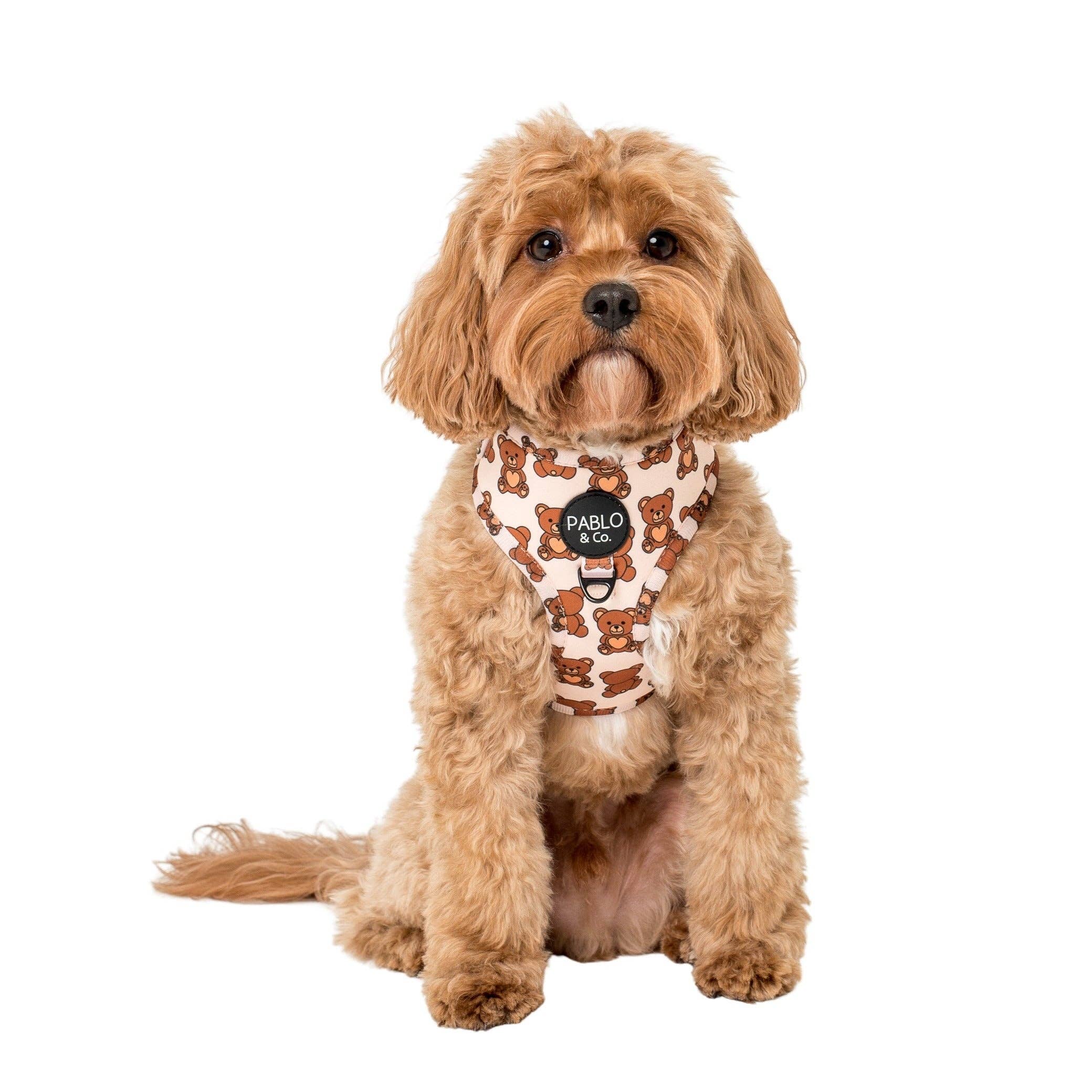 Pablo & Co. Boutique - Wholesale Pet Harness - Dog - Teddy Bears Picnic: ADJUSTABLE DOG HARNESS1