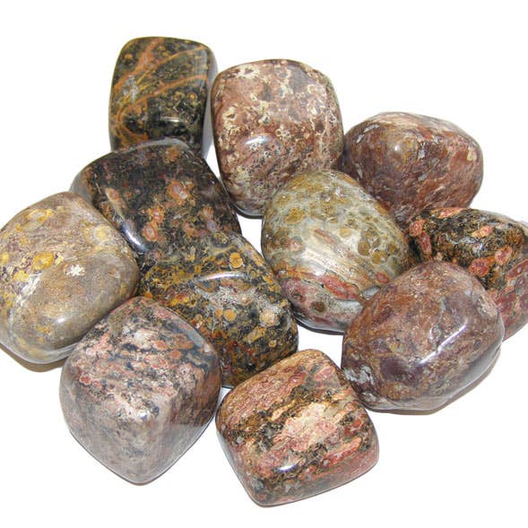 Leopard Skin Jasper Tumblestones (Weight) for wholesale by Crystal Magick Wholesale Ltd