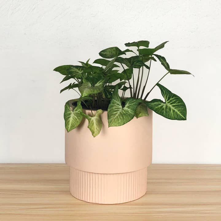 Common House Studio - Wholesale Plant Pot - FLUTED BASE PEDESTAL POT | PLANTER13