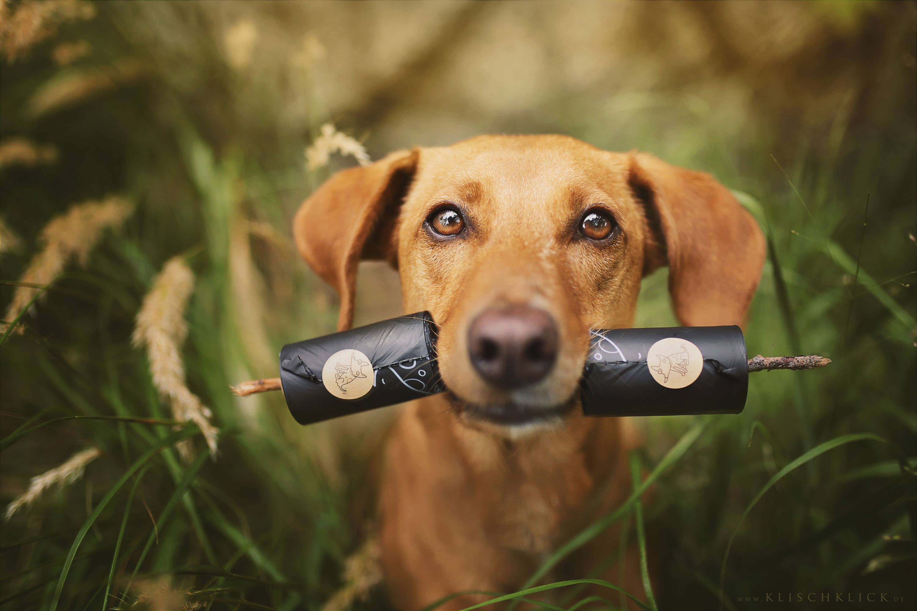 The Sustainable People - Wholesale Pet Poop Bag - Biodegradable Dog Poop Bags (200 loose rolls)16