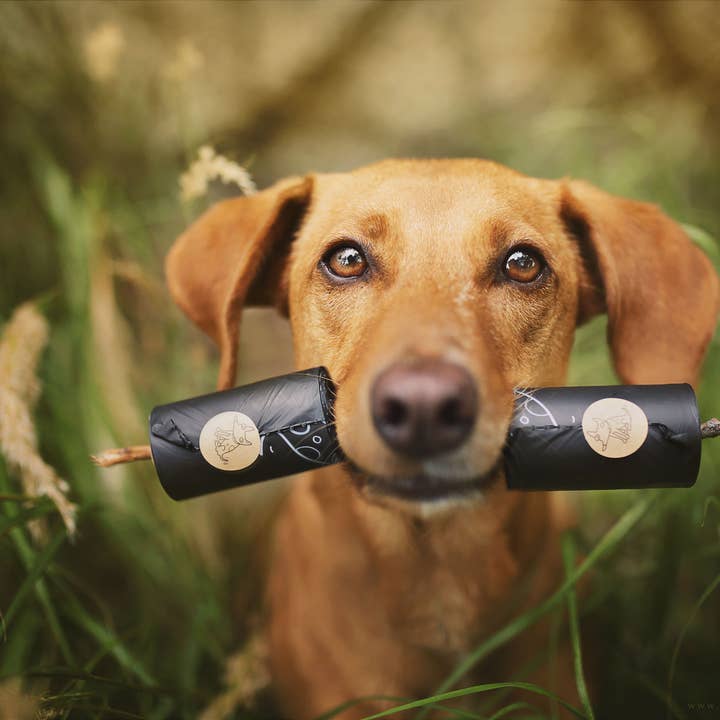 The Sustainable People - Wholesale Pet Poop Bag - Biodegradable Dog Poop Bags (200 loose rolls)16