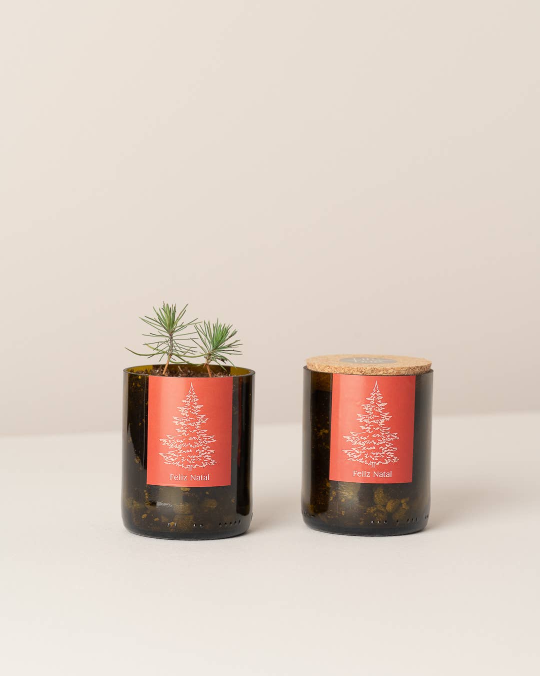 Life in a bag - Wholesale Plant Pot - Bottle Garden Merry Christmas