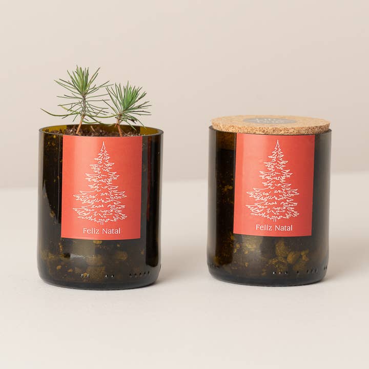 Life in a bag - Wholesale Plant Pot - Bottle Garden Merry Christmas0