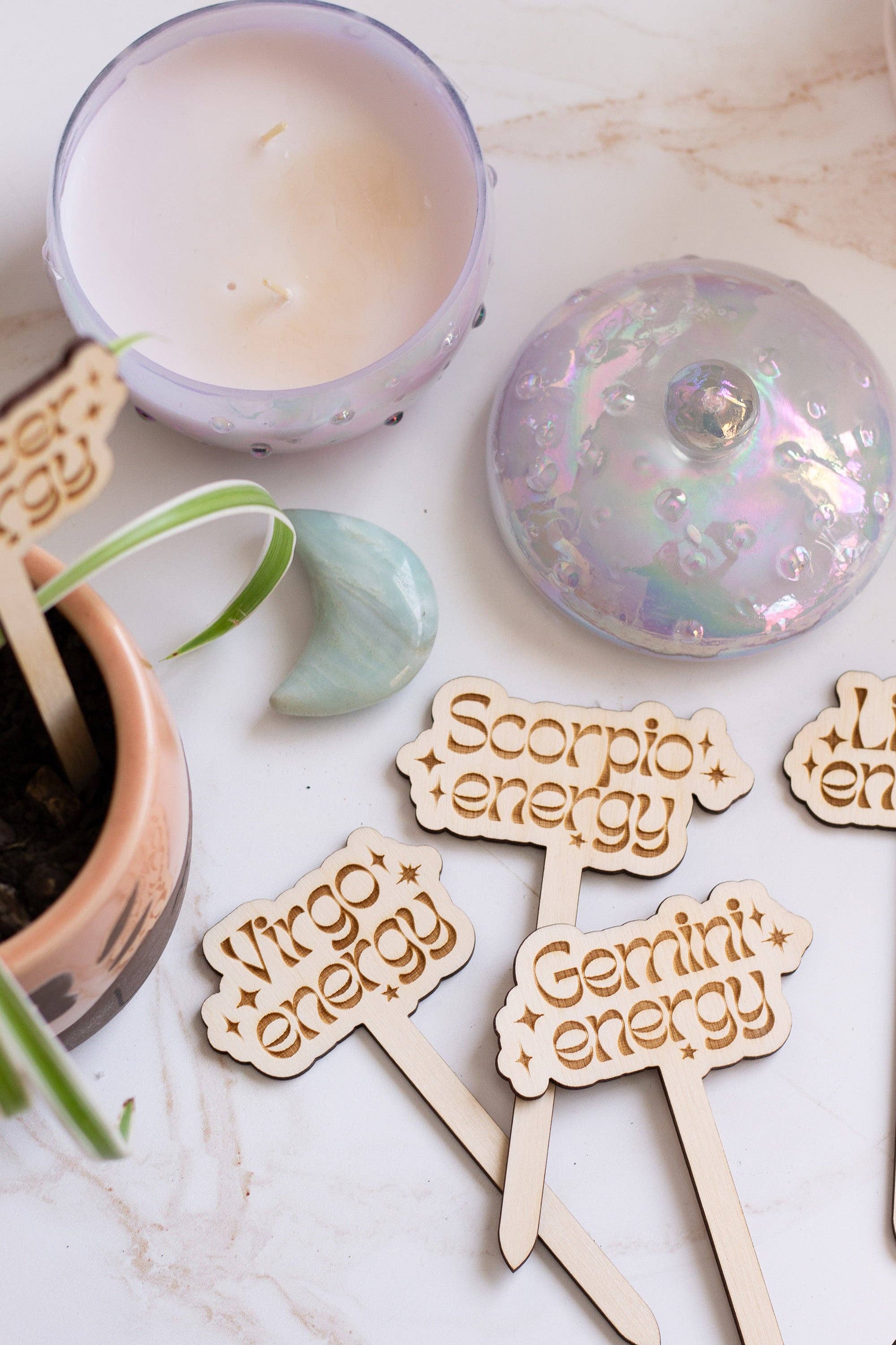 The Print Pantry - Wholesale Garden/Lawn Stake - Astrological Sign Wooden Plant Markers8