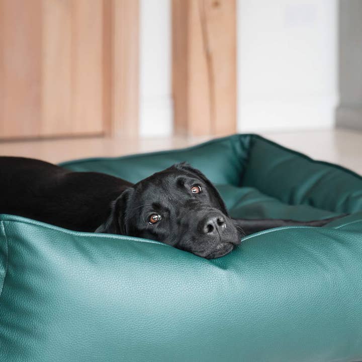 Box Bed For Dogs in Rhino Tough Forest Faux Leather for wholesale on Faire