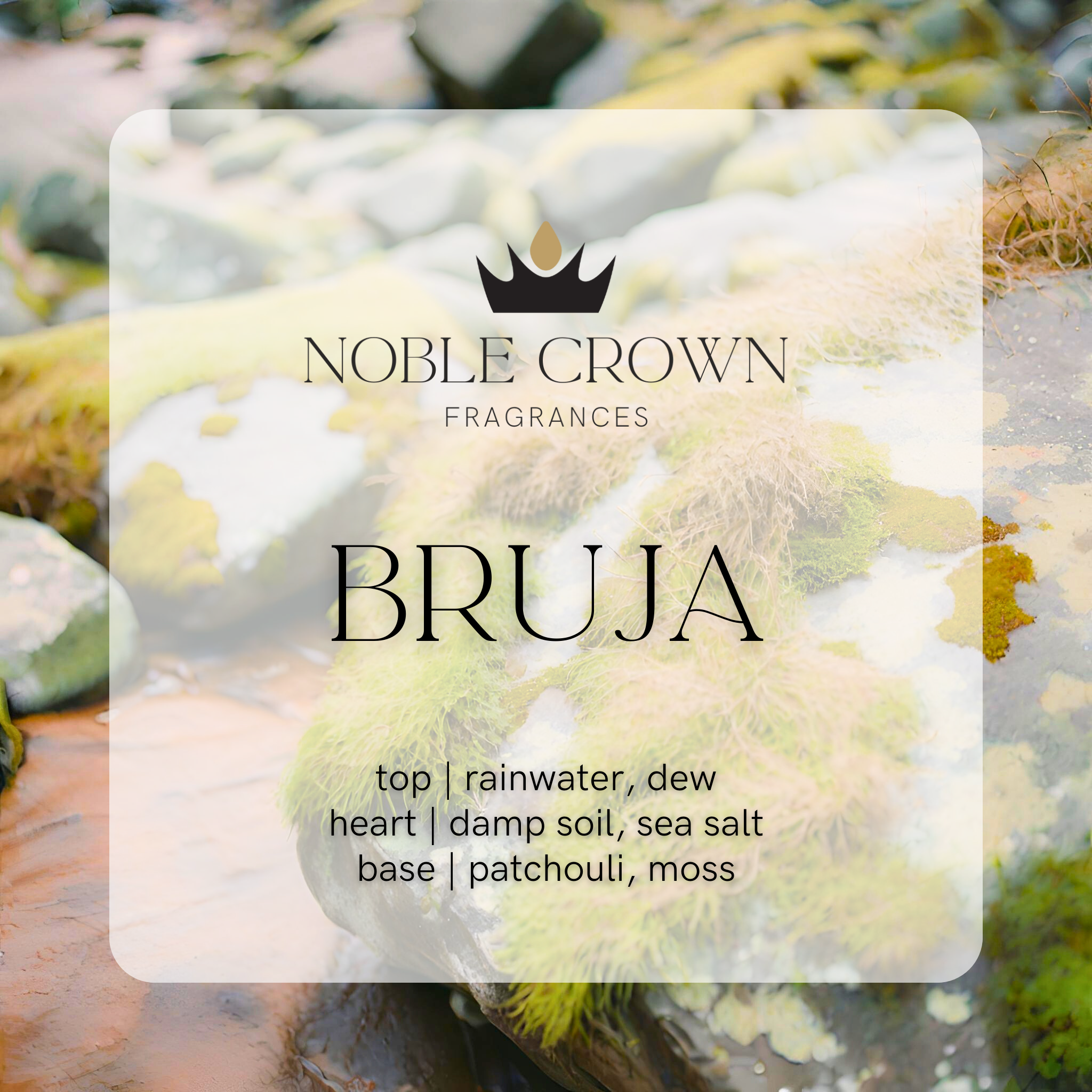Noble Crown Fragrances - Wholesale Perfume/Eau de Toilette - Bruja Perfume3