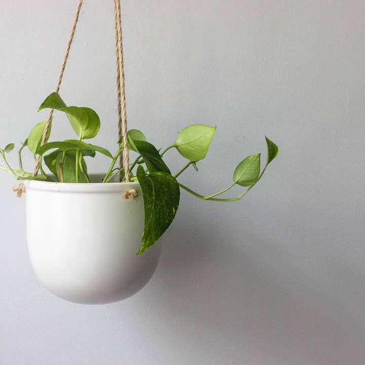 Sprout & About - Vente Jardinière suspendue - Jardinière suspendue en céramique blanche mate
