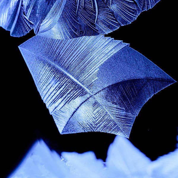 Frysta bubblor metallisk konsttryck FRB33 för wholesale av Breaking Rules Photography