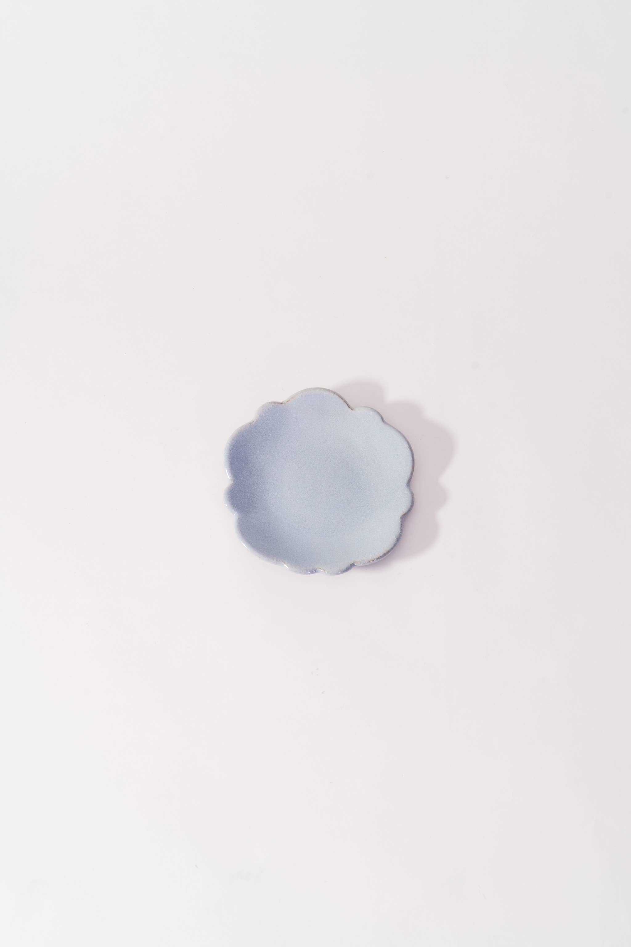 LAKOLE - Wholesale Decorative Plate/Dish/Bowl - Tatara-Zukuri Small Plate Morning Glory10