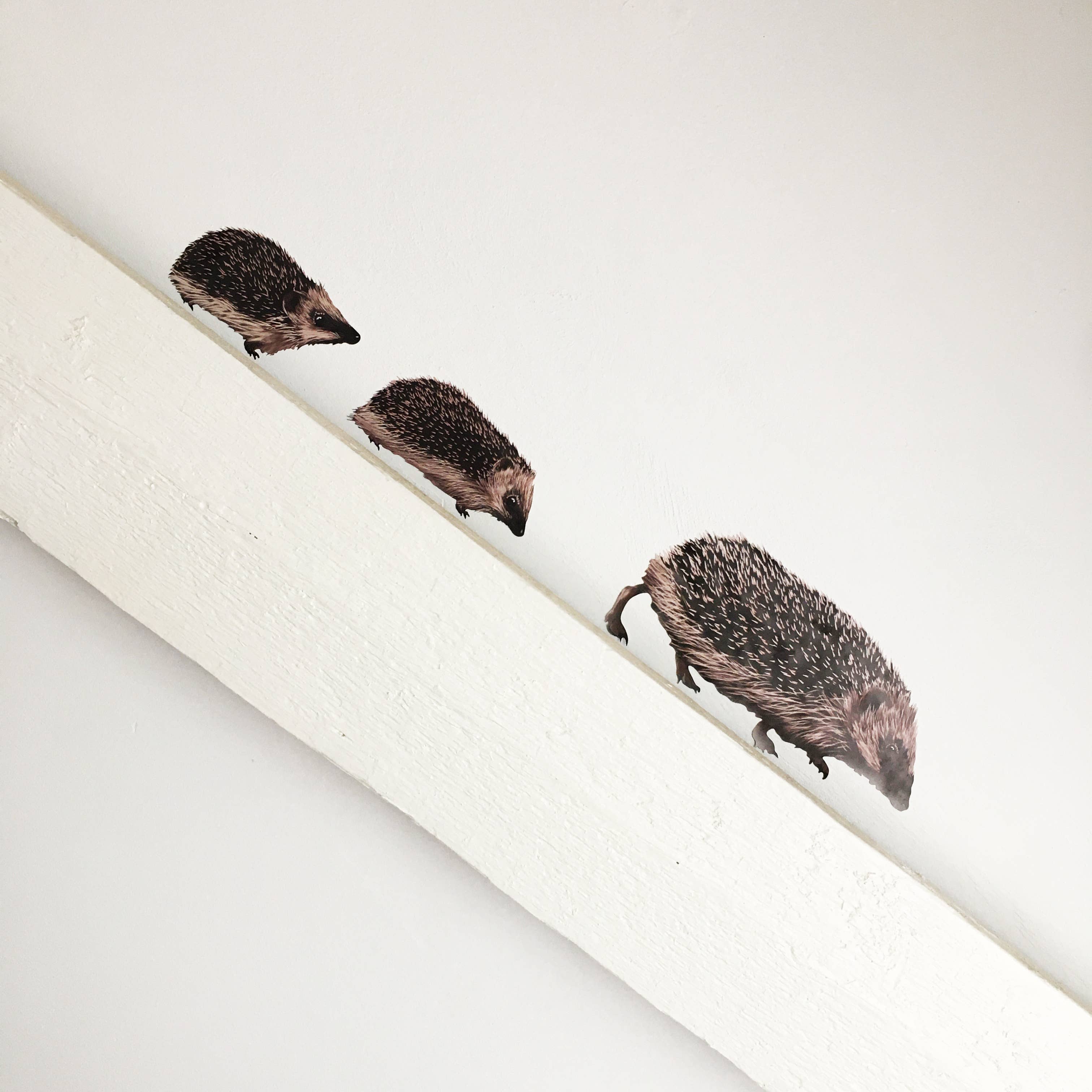 MYRTE – Großhandel Wandtattoo/-sticker – Igel Wandtattoo mit 3 Illustrationen von MYRTE7