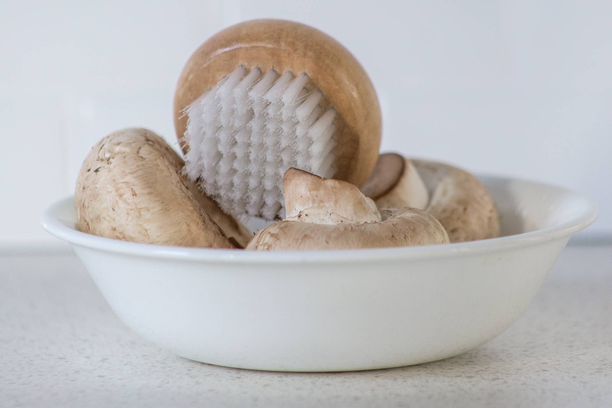 Fox Run Brands - Wholesale Cleaning Brush - Fox Run Wood Mushroom Brush, Nylon Bristles, 2" x 2" x 1.25"2