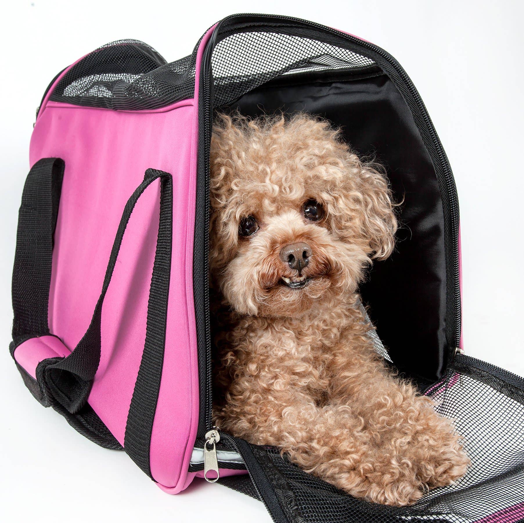 Pet Life - Wholesale Pet Carrier - Dog - Airline Approved Altitude Force Sporty Zippered Pet Carrier5