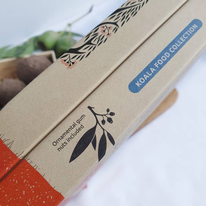 Native Seed Box – wholesale Plant seeds – Koala Food Collection with Ornamental Gum Nuts2