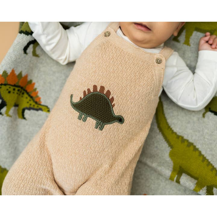 Oatmeal Heather Dino Embroidered Baby Knit Overall Set (Organic) for wholesale on Faire3