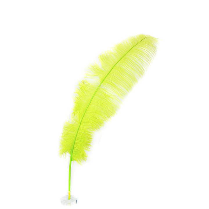 Grandes plumes d'autruche - 18-24" Spads - Citron vert pour la vente par Zucker Feather Products