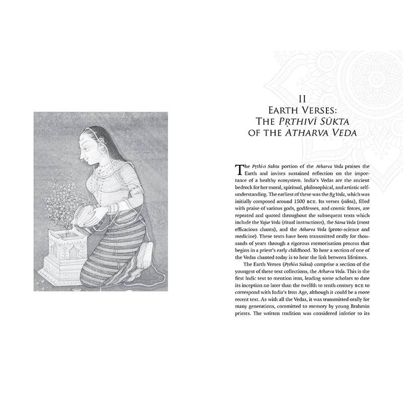 Insight Editions - #1 Pop Culture Publisher - Wholesale Religion Book - Embodied Ecology3