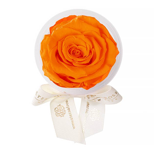Eternal Roses® - Wholesale Party Favor - Eternal Rose Party Favors37