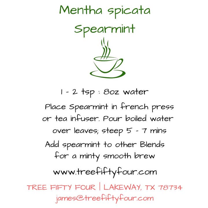 Tree Fifty Four - Wholesale Loose Tea - Spearmint | 2oz - 1 KG | Bulk Herbs