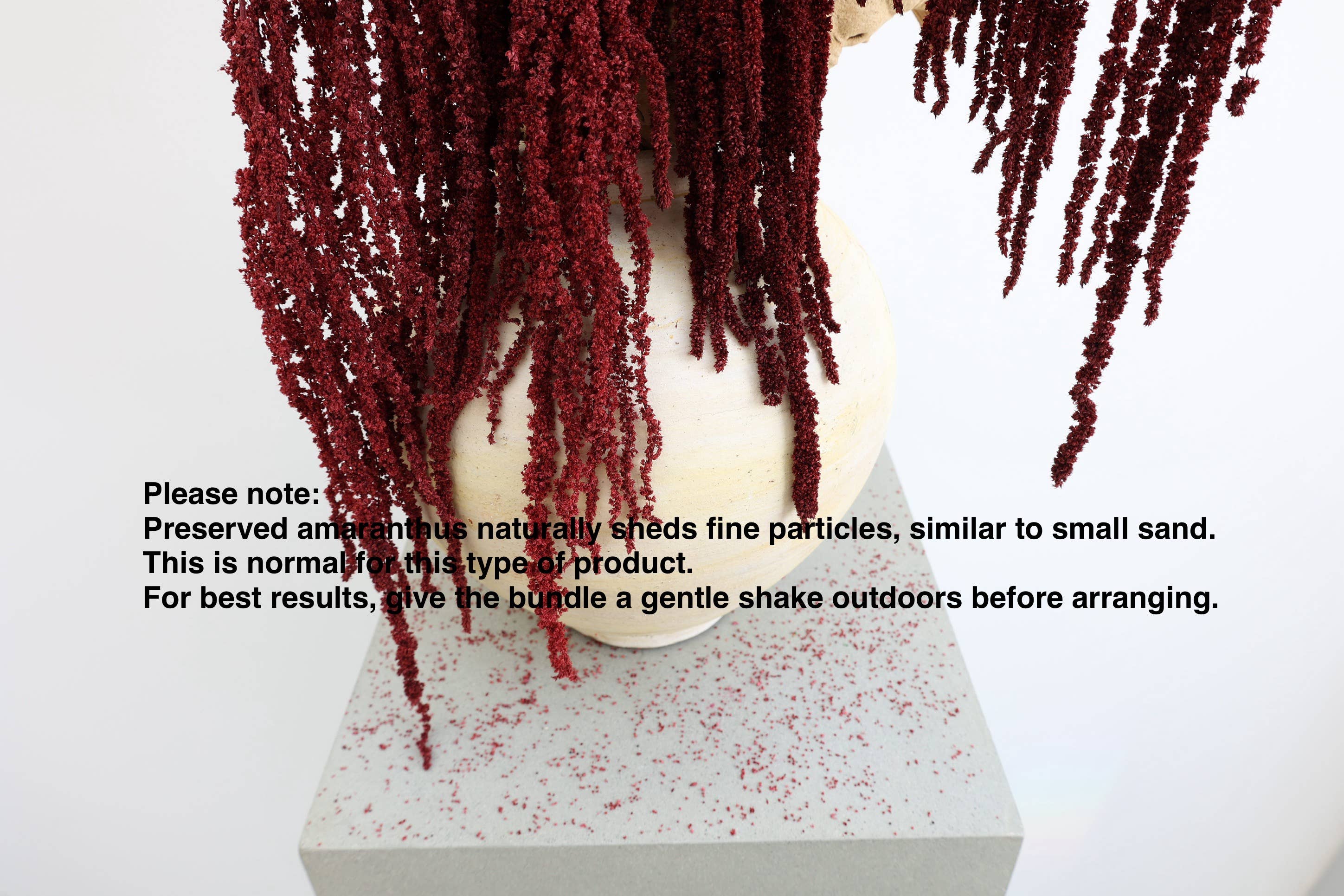 FlowerFantaSee - Vente Fleur séchée/pressée - Amarante préservée rouge profond6