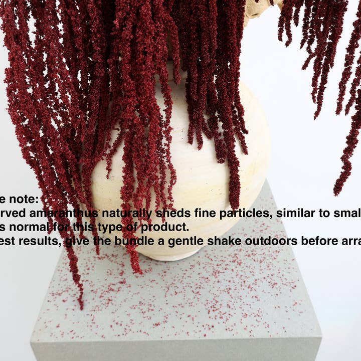 FlowerFantaSee – wholesale Torkade/pressade blommor – Djupt Röd Konserverad Amarant6