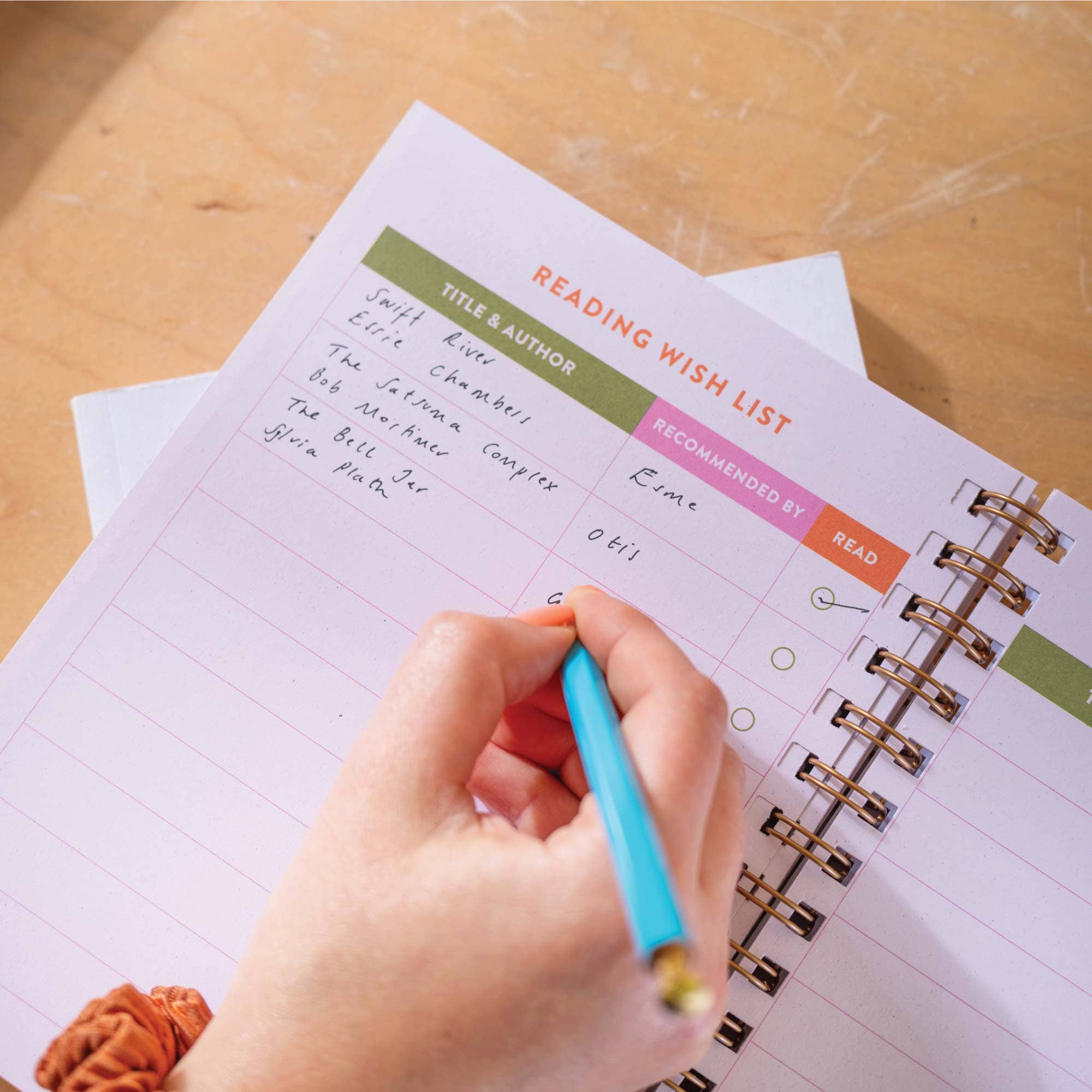 Good Tuesday (Once Upon a Tuesday) - Wholesale Journal/Diary - Reading Journal A5 | Deckchair Stripe | Hardcover2