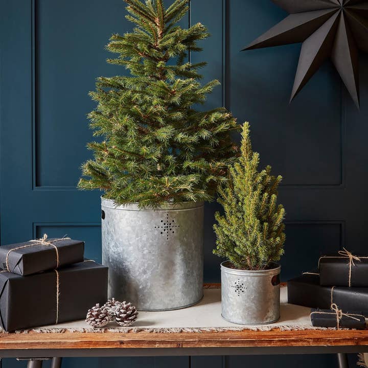 Ivyline – wholesale Juldekoration – Inomhus julgran hink med stjärna, 23cm Diameter