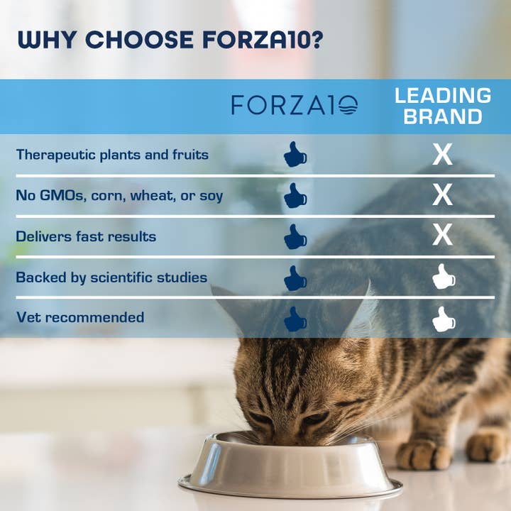 Forza10 Pet Food - Wholesale Pet Food - Cat - Forza10 Actiwet Renal Support Canned Cat Food