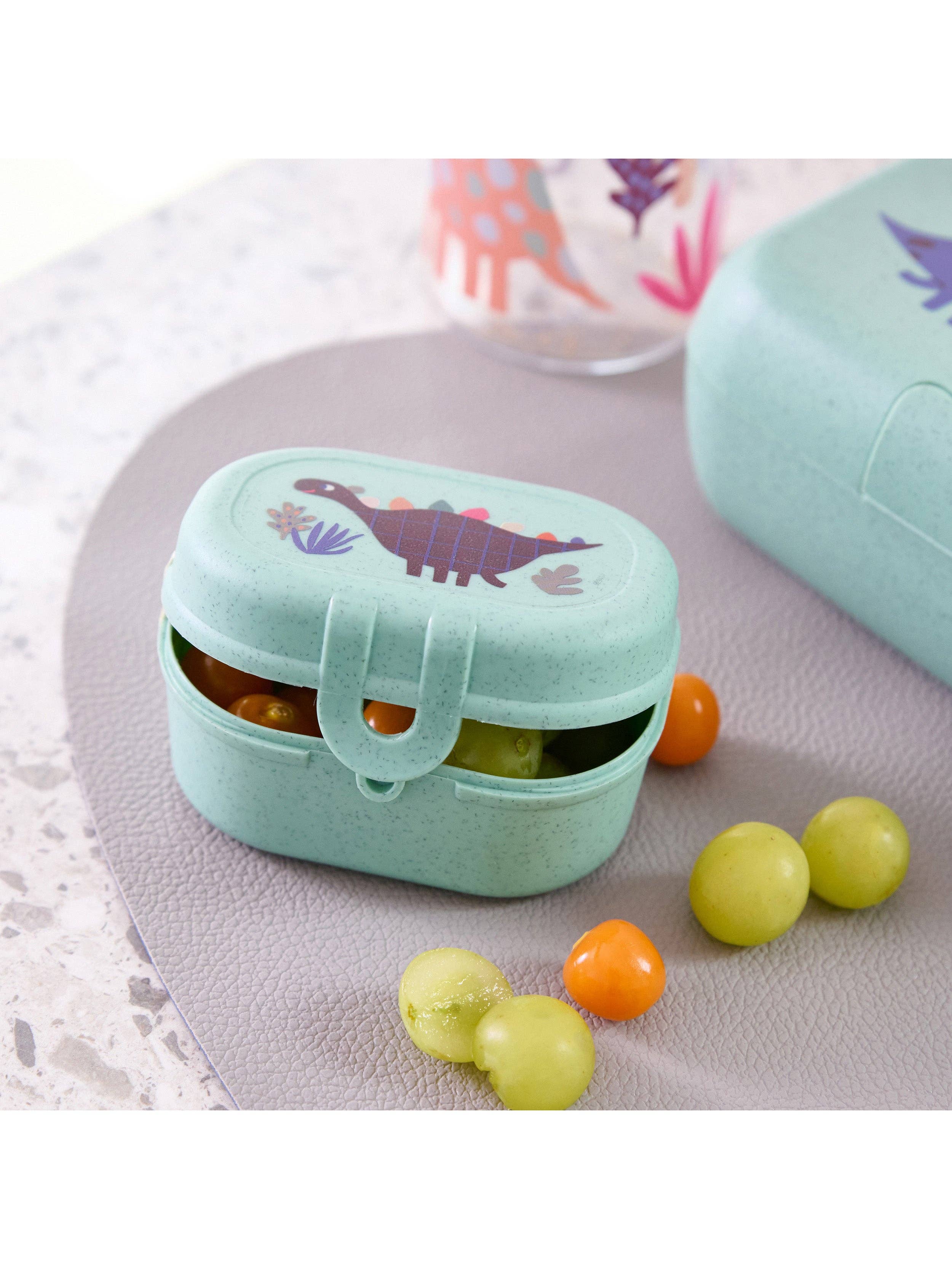 Snack Box PASCAL MINI REX for wholesale on Faire1