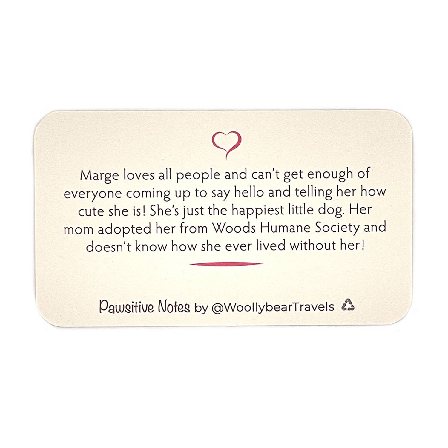 Woollybear Travels - Wholesale Stationery/Notecard Set - Pawsitive Notes- Rescued Chihuahua (Lunch Box Notes)3