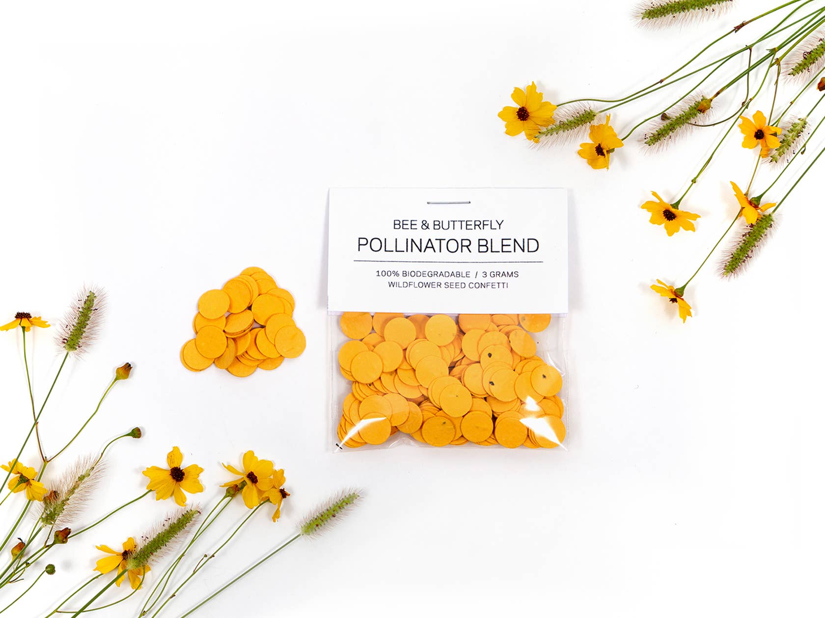 Studio 82° - Wholesale Confetti - Frost Reusable Confetti Popper2