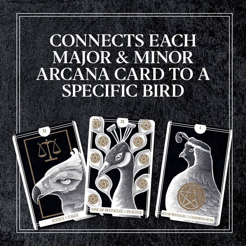 Chronicle Books - Wholesale Tarot Cards - Avian Tarot2