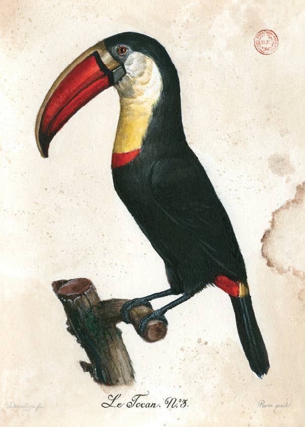 Bomo Art Budapest - Wholesale Everyday Greeting Card - Greeting Card + Envelope8