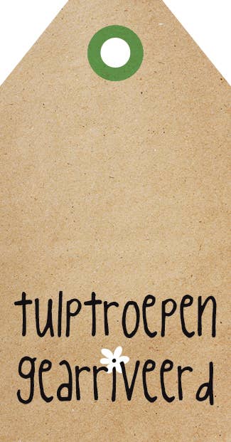 Zinvol.nu - Wholesale Everyday Greeting Card - Gift cards - Florist - Zingevers5