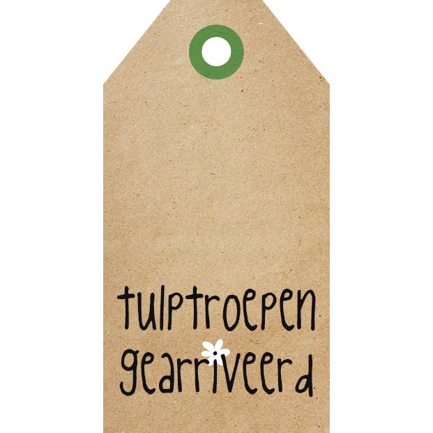 Zinvol.nu - Wholesale Everyday Greeting Card - Gift cards - Florist - Zingevers5