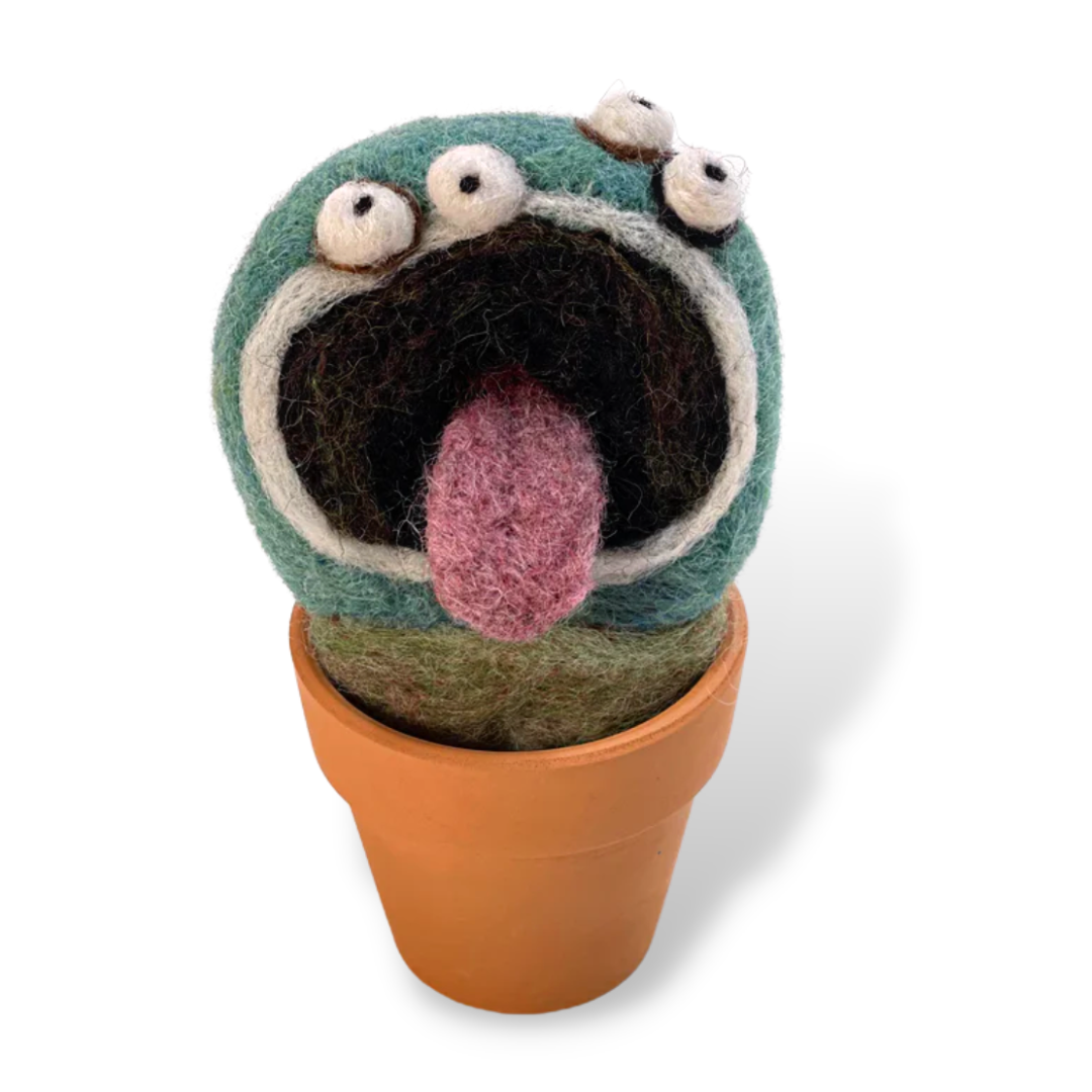 Woolbuddy - Wholesale Plant Pot - Handmade Wool Needle Felted Tom Plant0